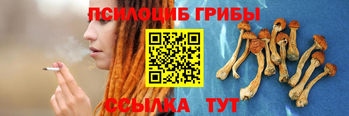 Псилоцибиновые грибы прущие грибы Новосибирск